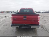 Ford F-150 Xlt 1FTFX1ET1EKG37795 снимка
