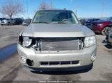 Ford Escape Xlt 1FMCU0DG8CKA86266 fotografie