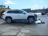 Toyota Rav4 2T3DWRFV7KW020736 снимка