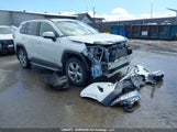 Toyota Rav4 2T3DWRFV7KW020736 снимка