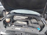 Volkswagen Tiguan 2.0 Tsi Comfortline/2.0 Tsi Highline/2.0 Tsi Trendline WVGBV7AXXAW512874 photo