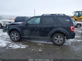 Ford Escape Xlt 1FMCU9DG6AKC12027 снимка