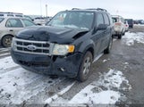 Ford Escape Xlt 1FMCU9DG6AKC12027 снимка
