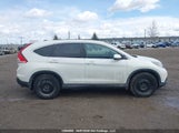 Honda Cr-V Exl 2HKRM4H75EH124344 снимка