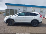 Honda Cr-V Exl 2HKRM4H75EH124344 снимка