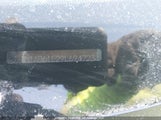 Nissan Sentra 2.0S 3N1AB61E29L694723 снимка