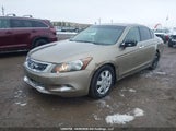 Honda Accord Exl 1HGCP36888A802343 снимка