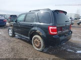 Ford Escape Xlt 1FMCU9DG8BKB00315 fotografie