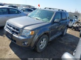 Ford Escape Xlt 1FMCU0DG6AKC38798 снимка