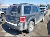 Ford Escape Xlt 1FMCU0DG6AKC38798 снимка