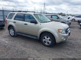 Ford Escape Xlt 1FMCU0DG9BKA40315 снимка
