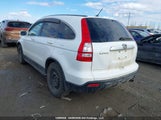 Honda Cr-V Exl 5J6RE48738L806386 photo