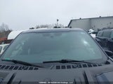 Ford F150 Raptor 1FTFW1RGXNFC32396 photo