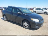 Toyota Corolla S/Le/Xle 2T1BU40E69C035581 снимка