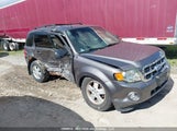 Ford Escape Xlt 1FMCU0D71BKC00431 fotografie