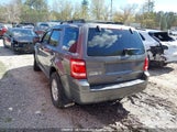 Ford Escape Xlt 1FMCU0D71BKC00431 fotografie