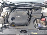 Nissan Maxima Platinum/S/Sl/Sr/Sv 1N4AA6AP3HC372416 photo