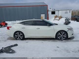 Nissan Maxima Platinum/S/Sl/Sr/Sv 1N4AA6AP3HC372416 fotografie