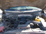 Ford F-150 Fx4 1FTFW1EF1DFD42314 fotografie