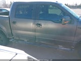 Ford F-150 Fx4 1FTFW1EF1DFD42314 fotografie