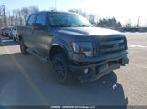 Ford F-150 Fx4 1FTFW1EF1DFD42314 снимка