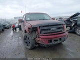 Ford F150 Supercrew 1FTFW1EFXDFB62734 снимка