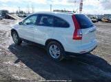 Honda Cr-V 5J6RE3H55BL803683 снимка