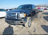 Ford F-150 Lariat/Xl/Xlt 1FTPX14V69KC86850 fotografie
