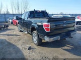 Ford F-150 Lariat/Xl/Xlt 1FTPX14V69KC86850 fotografie