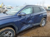 Hyundai Tucson 5NMJBCDE2SH497982 снимка