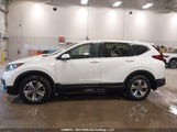 Honda Cr-V Lx 2HKRW2H25NH207369 photo
