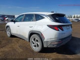 Hyundai Tucson Sel KM8JB3AEXNU035067 снимка