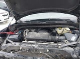 GMC Sierra  Elevation 1GTU9CED4LZ312701 снимка