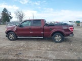 Ford F-150 1FTFW1EV7AFD36634 снимка