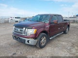 Ford F-150 1FTFW1EV7AFD36634 снимка