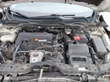 Honda Civic Lx 2HGFC2F50HH001643 снимка