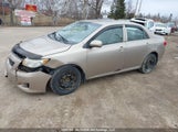 Toyota Corolla S/Le/Xle 2T1BU4EE9AC210273 снимка