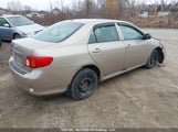 Toyota Corolla S/Le/Xle 2T1BU4EE9AC210273 снимка