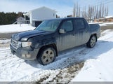 Honda Ridgeline Touring 5FPYK1F52EB502305 снимка