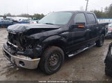 Ford F150 Supercrew 1FTFW1EF4EFA33406 снимка