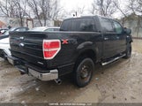 Ford F150 Supercrew 1FTFW1EF4EFA33406 снимка