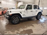 Jeep Wrangler Sahara 1C4PJXEN0SW567382 fotografie