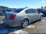 Nissan Maxima 3.5 Sl 1N4BA41E35C864138 снимка