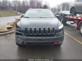 Jeep Cherokee Trailhawk 1C4PJMBS9GW356925 снимка