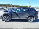 Toyota Rav4 Xle/Xle Premium 2T3R1RFV8PC332531 photo