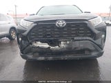 Toyota Rav4 Xle/Xle Premium 2T3R1RFV2MW148776 photo