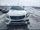 Mercedes-Benz Ml 350 Bluetec 4Matic 4JGDA2EB5EA435517 снимка