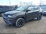 Jeep Compass Trailhawk 3C4NJDDB1MT568370 fotografie