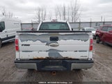 Ford F150 1FTNF1CF6BKD39203 снимка