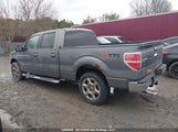 Ford F-150 1FTFW1ET3EKG13968 снимка
